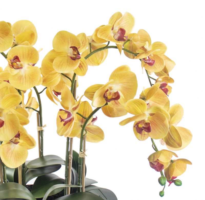 Artificial orchid plant