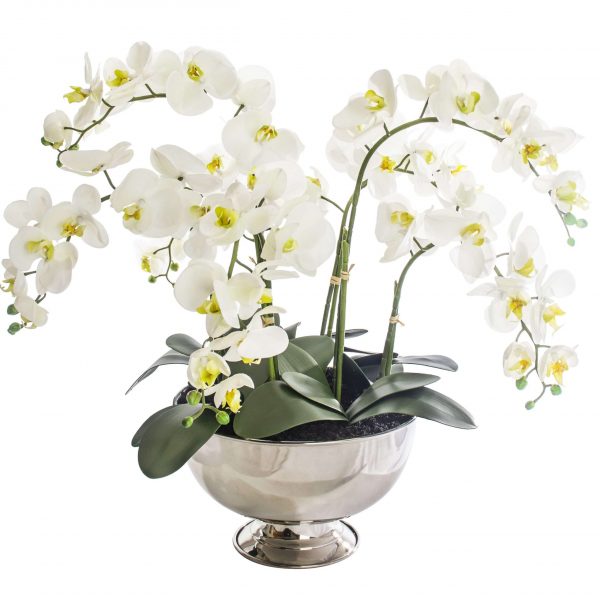 Artificial white orchid plant set in large silver container