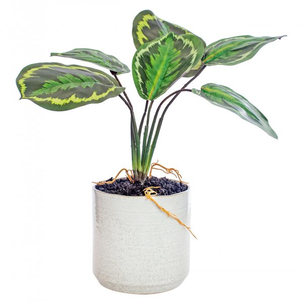 Artificial pot plant Calathea