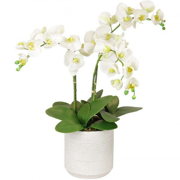 Faux silk white orchid plant in ceramic pot