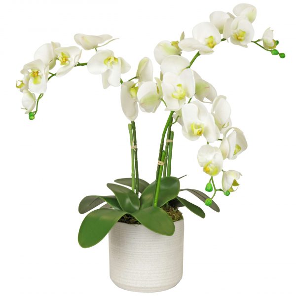 Fake orchid plant set in white ceramic planter