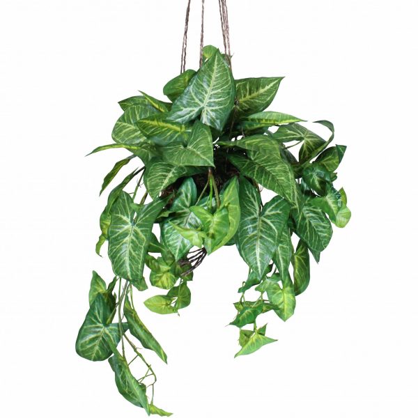 Artificial Hanging plant syngonium plant in moss ball