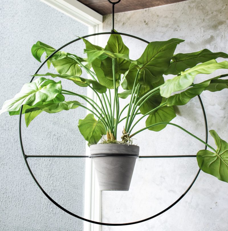 Fake taro plant with string
