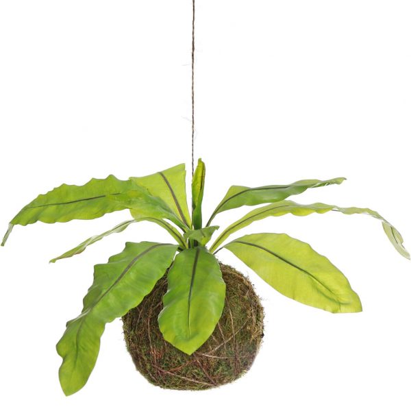 Fake birds nest plant in moss ball hanging plant