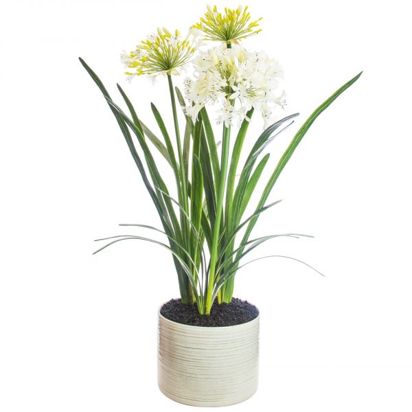 Agapanthus artificial plant in ceramic pot
