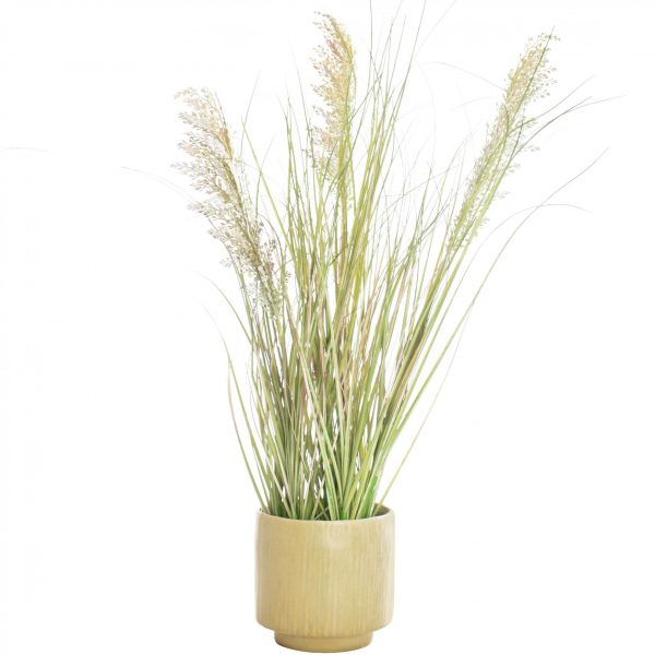 Artificial Pampas Grass Plant in Ceramic Pot